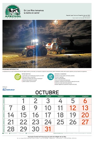 Calendario Aproval