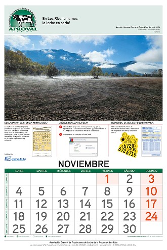 Calendario Aproval