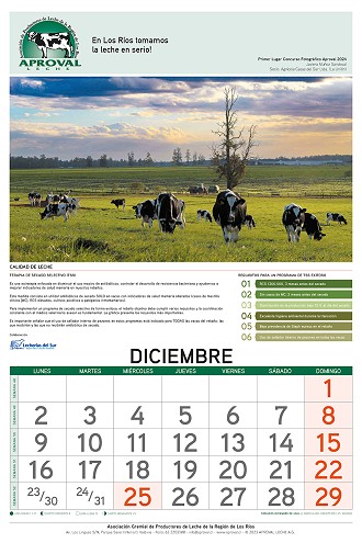 Calendario Aproval