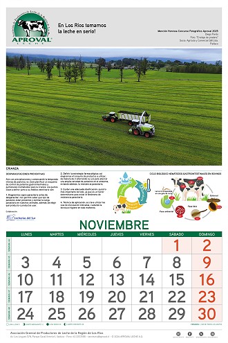 Calendario Aproval