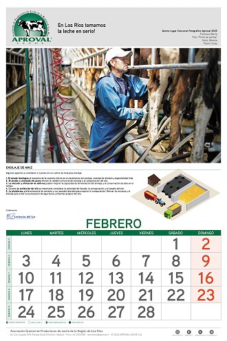 Calendario Aproval