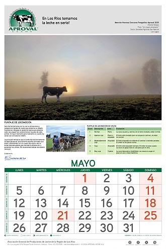 Calendario Aproval