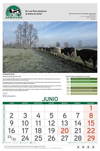 Calendario Aproval