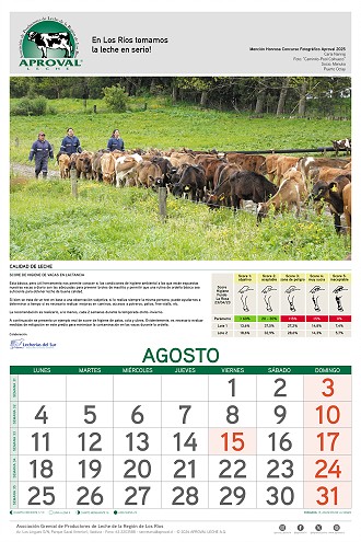 Calendario Aproval