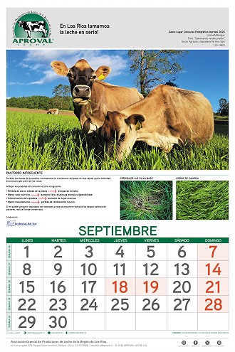 Calendario Aproval
