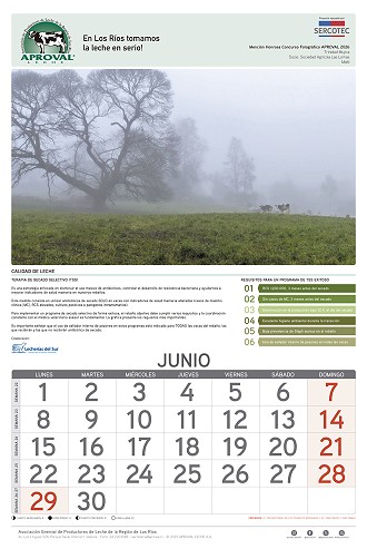 Calendario Aproval