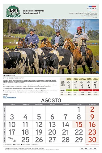 Calendario Aproval