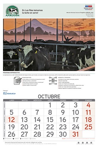 Calendario Aproval