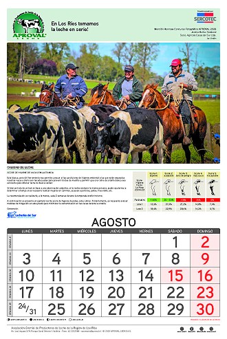 Calendario Aproval