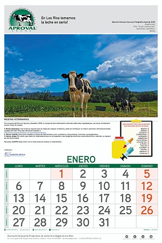 Calendario Aproval